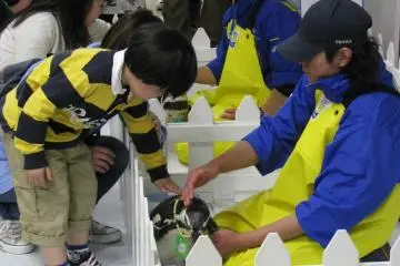 Penguins have "security"!