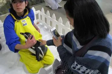 Peguins were rather quiet, but used to people and cameras