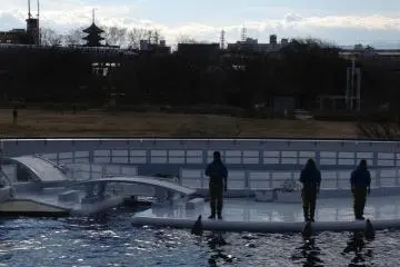 Dolphin tank with Kyoto skyline (Photo: S.C. Kurokawa)