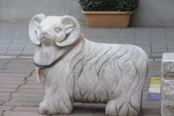 The Goat (Hitsuji)