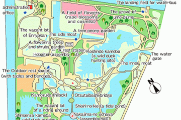 <p>Le plan du jardin</p>
