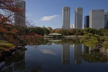 <p>Plus de contrastes au jardin Hama-Riky&ucirc;</p>