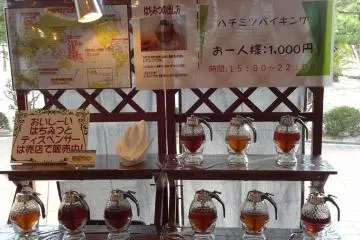 Honey tasting in the lobby