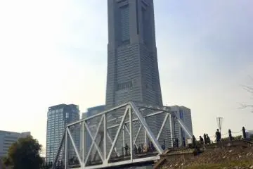 Landmark Tower and a flying seagull