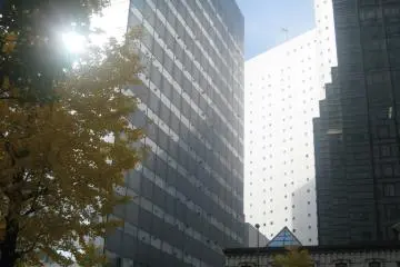 Contrasts of Tokyo