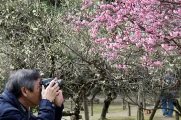 <p>Dan mereka yang bermain.</p>