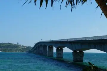 Bye-bye Kouri!