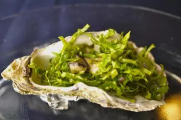 Oyster Conclave Kaki-tei Hiroshima