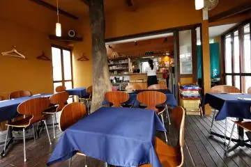 Sebuah pohon yang tumbuh menembus restoran benar-benar sebuah aksen yang menarik