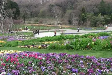 10,000 Square Meter Flower Bed, Satoyama Garden