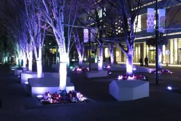 Grand Mall Park