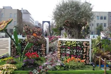 Zou-No Hana Park display