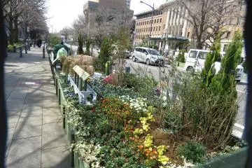 Along Nihon-Odori Street