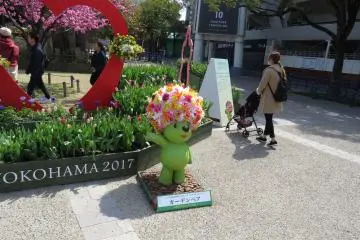 Bear Mascot, Yokohama Park