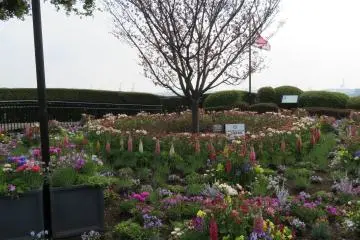 Harbor View Park
