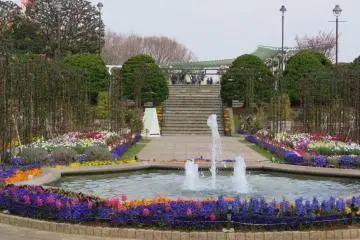 Harbor View Park fountain