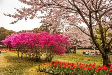 Even the constant rain couldn’t dull the vibrant colors