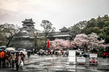 A rain-soaked landscape 