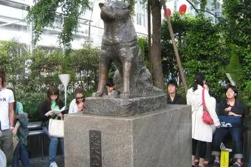The infamous Hachiko statue