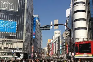 And that's what it looks like when the pedestrian traffic light shows a green light