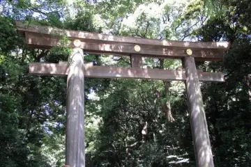 Torii at the entrance to Meiji Jingu