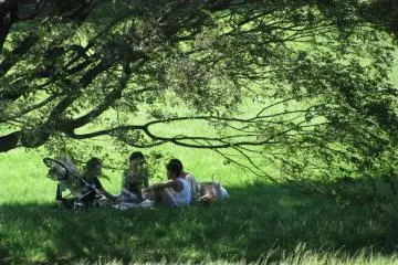 Yoyogi park is good for picnics