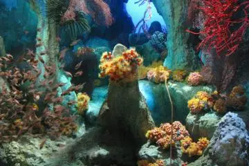 It was my first visit to aquarium, so I was excited!