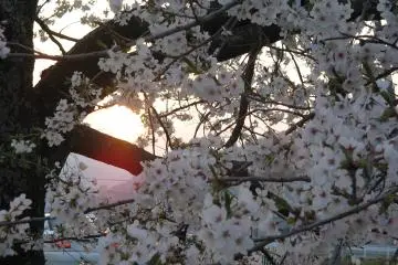 Sunset in Tono