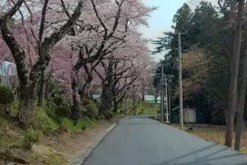Near Hanamaki Onsen
