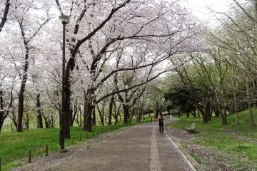 ทางเดินทอดตัวยาวไปทั่วสวน