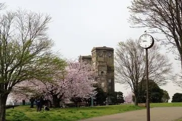 Gallery image
