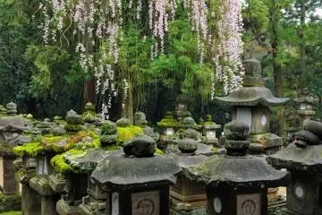Kasuga Taisha Shrine in Spring