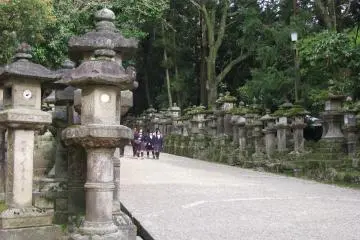 The lines of lanterns on the way to Kasuga Taisha