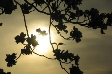 That was a very peaceful evening...
