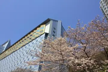 A view from below
