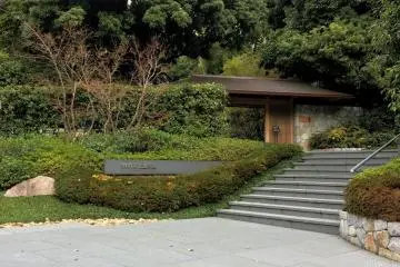 The entry way, engulfed in green