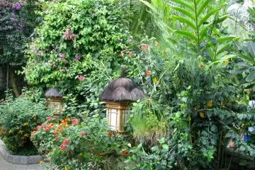 Looks like a tropical garden