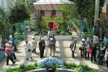 Inside the "Crystal Palace"
