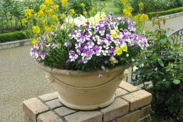 Spring flower decoration
