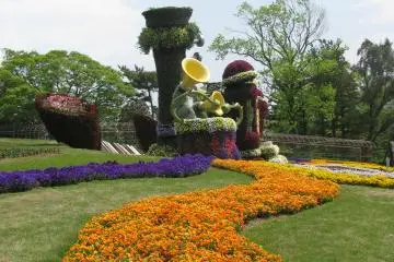 Beds of flowers