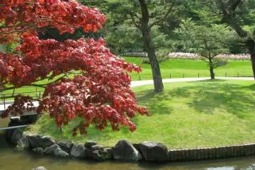 One of the Flower Park's landscapes