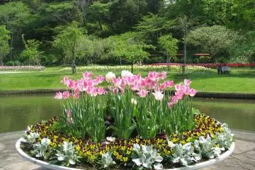 I really enjoyed many views of the park!