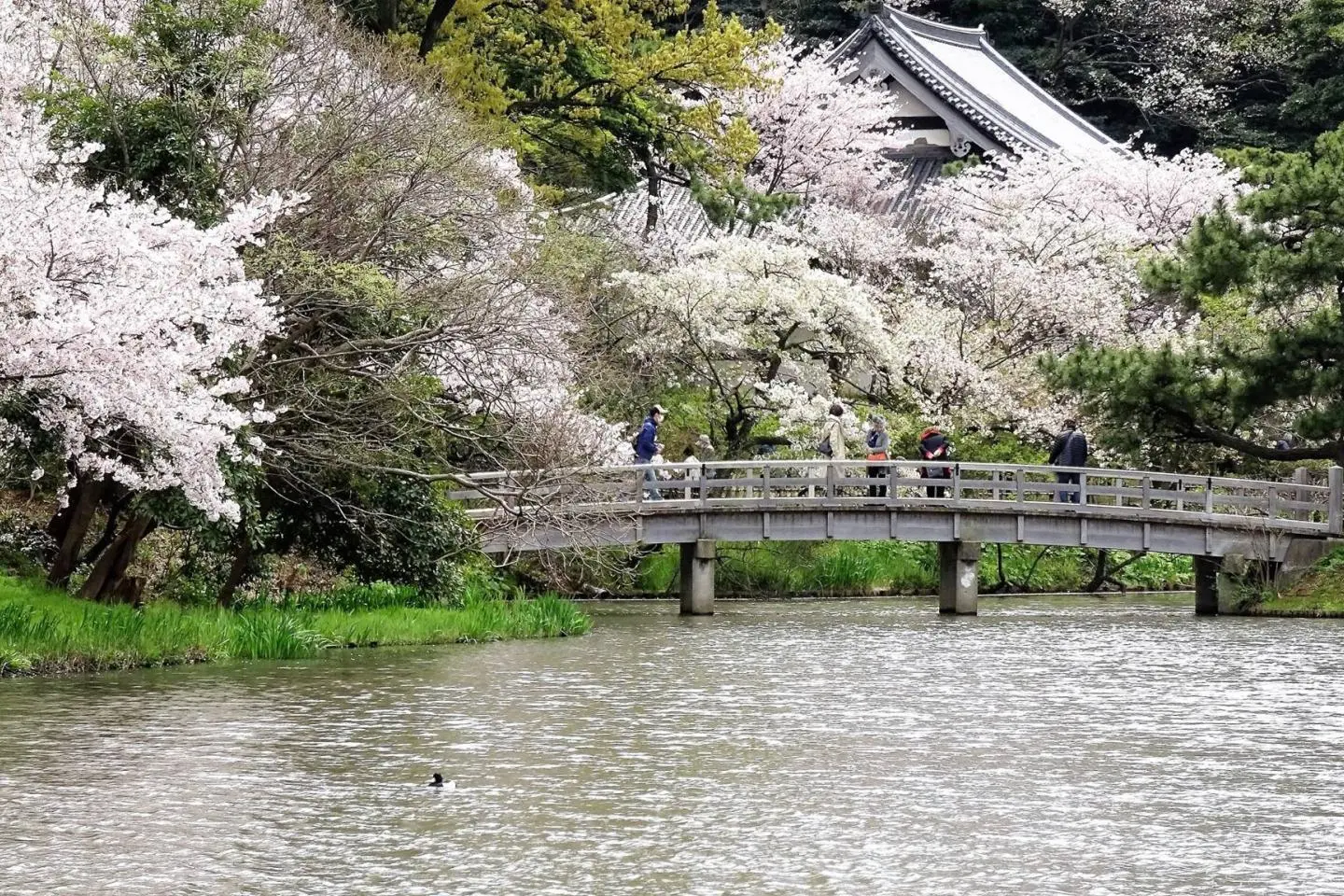ตระการตา..สวนซานเคเอ็น