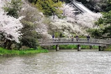 ตระการตา..สวนซานเคเอ็น