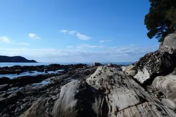Visitors are free to wander wherever they like