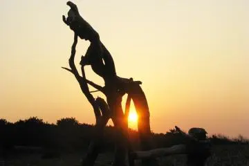 일찍 일어나시면 나처럼 해변에서 일출을 볼 수 있다!