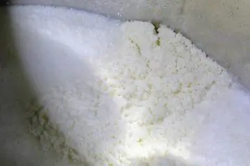 Yeast has already been added to this mixture of rice, koji, and water, and is actively fermenting away
