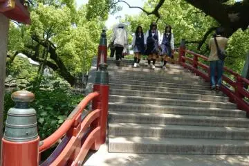 Bridge from the past