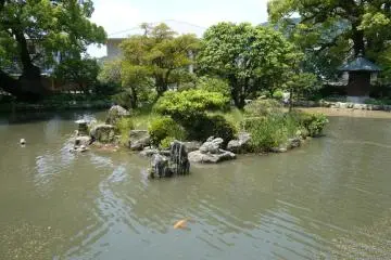 Heart shaped pond