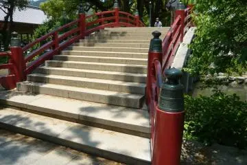 Bridge to the future